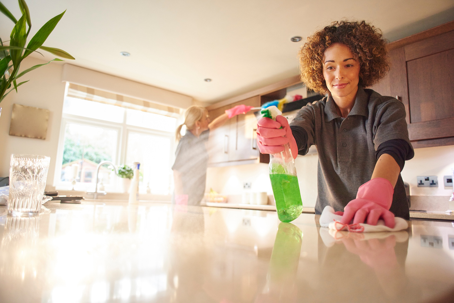 domestic cleaners